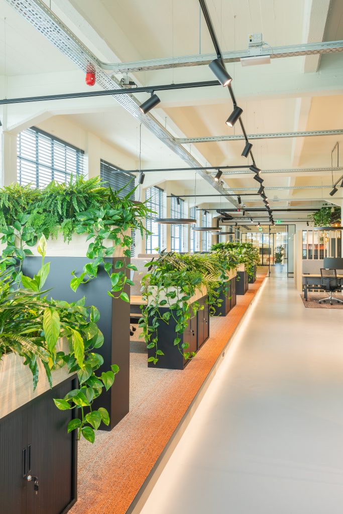 Zwarte plantenbakken met groen kantoor