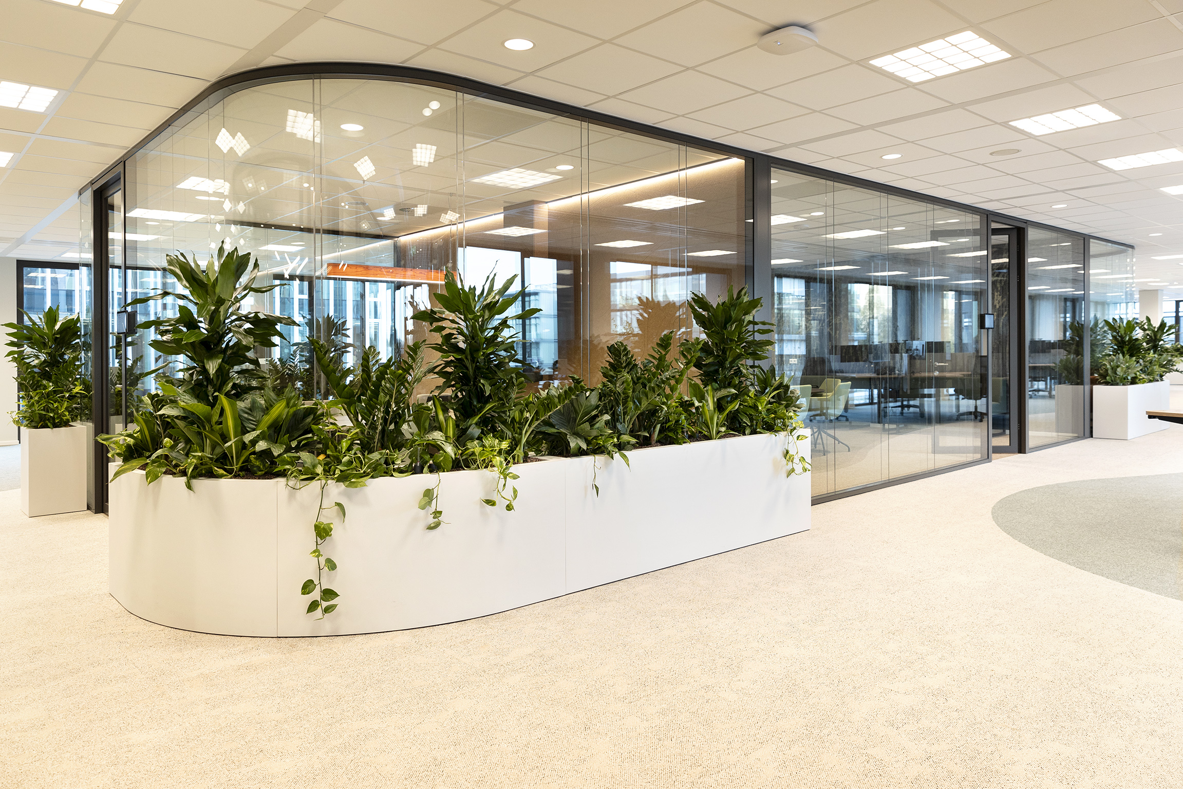 Interieur Molex nieuwbouw kantoor High Tech Campus